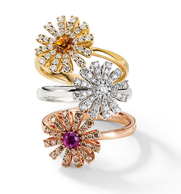 Damiani