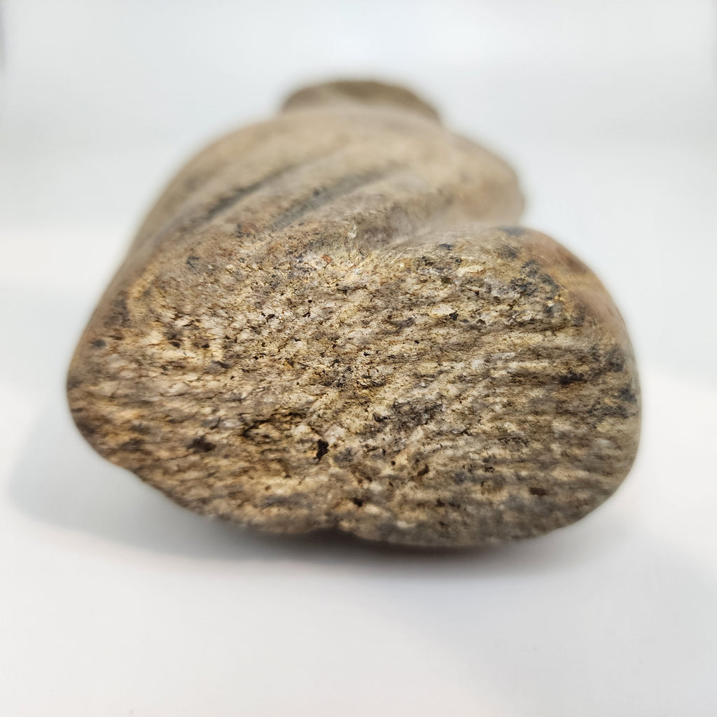 Ancient Stone Pelican Large 24 cm Statue