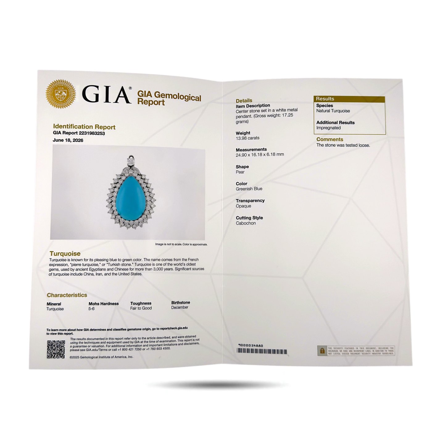 Earrings GIA Certified Turquoise and 12.02ct Diamond 950 Platinum Convertible Earrings Pendant Set