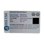 Exclusive 14K White Gold 3.66ct Lab-Grown Diamond Stud Earrings