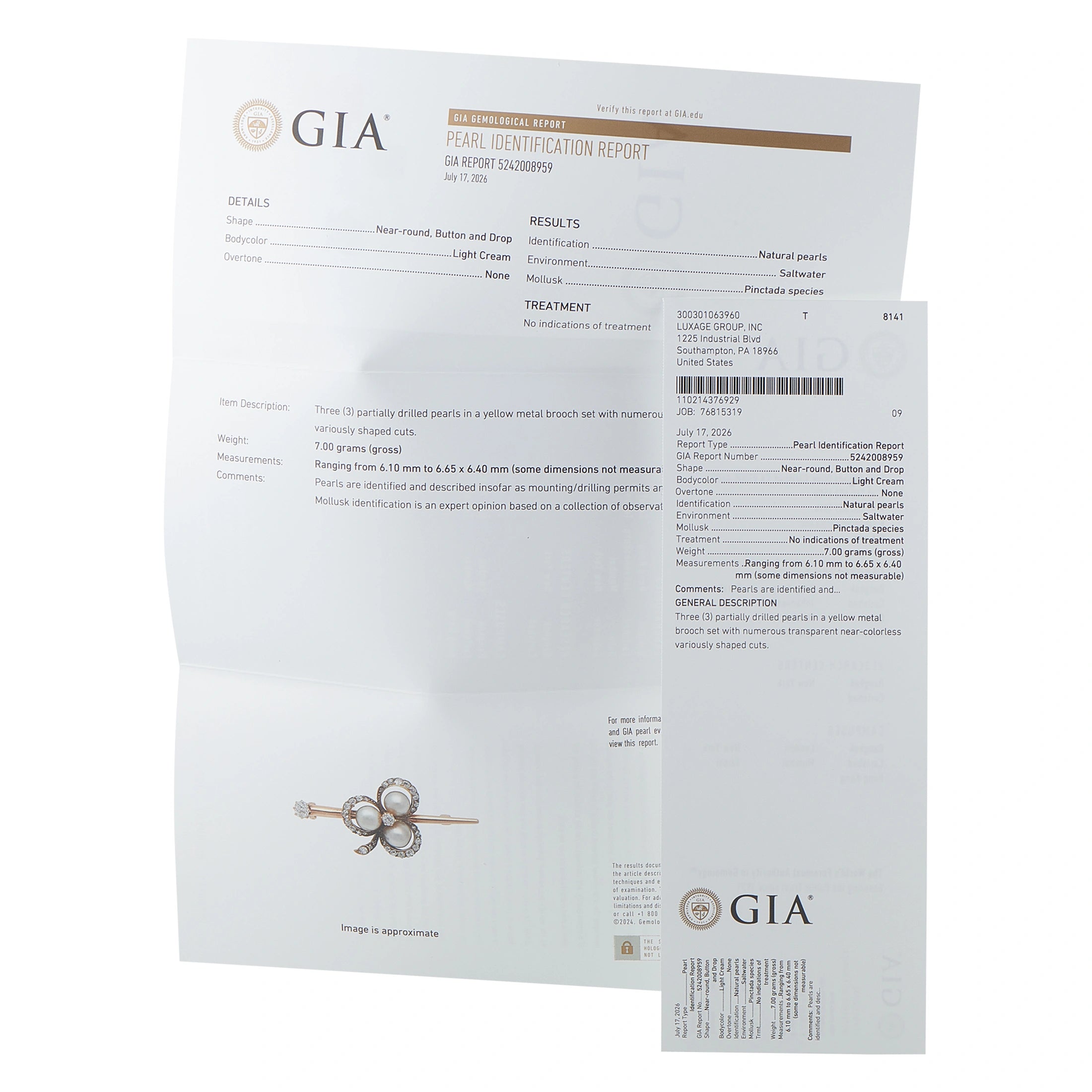 GIA pearl identification report certificate with printed results sheet