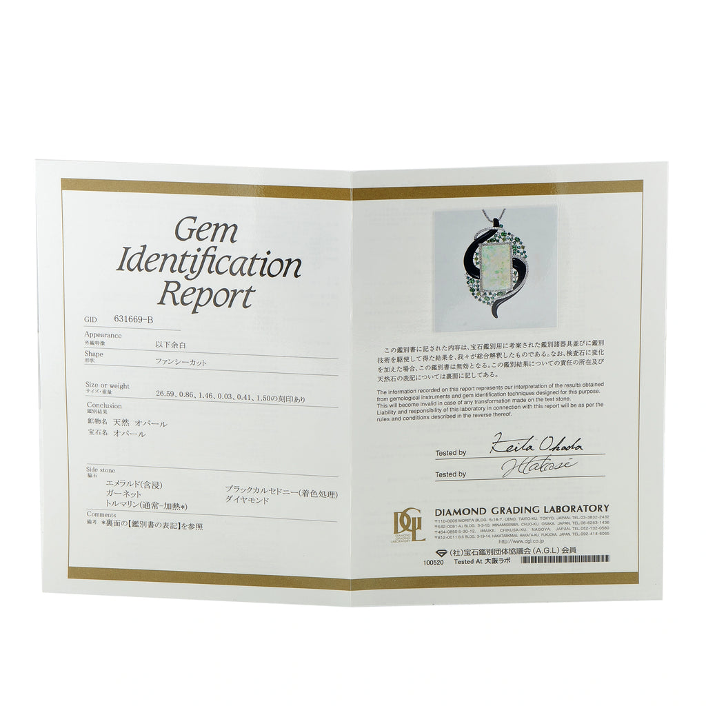 Gem identification report certificate for jewelry, printed document with lab seal