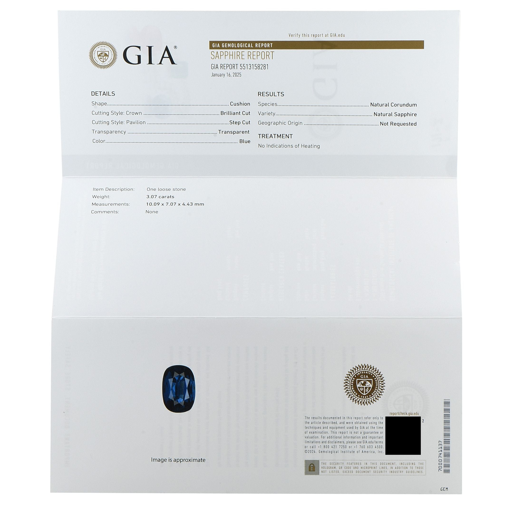 Exclusive Platinum 1.05ct Diamond and Sapphire Pendant MF03-082225