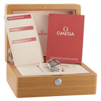 Omega Seamaster Railmaster Steel Watch