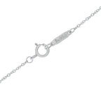 Tiffany & Co. Victoria platinum necklace chain with a close-up of its spring-ring clasp